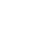 Tammer Brands logo